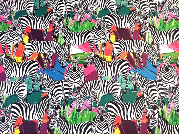 Zebra on Colours Sample - Image 7