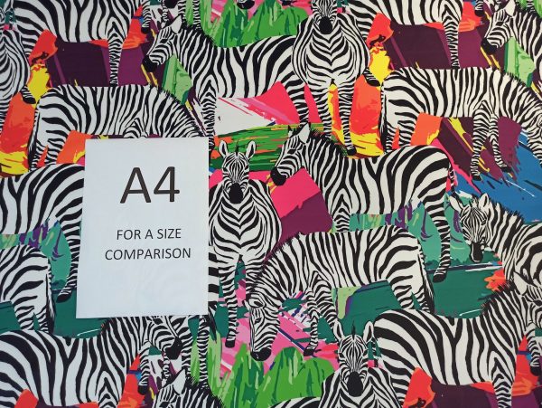 Zebra on Colours Sample - Image 4