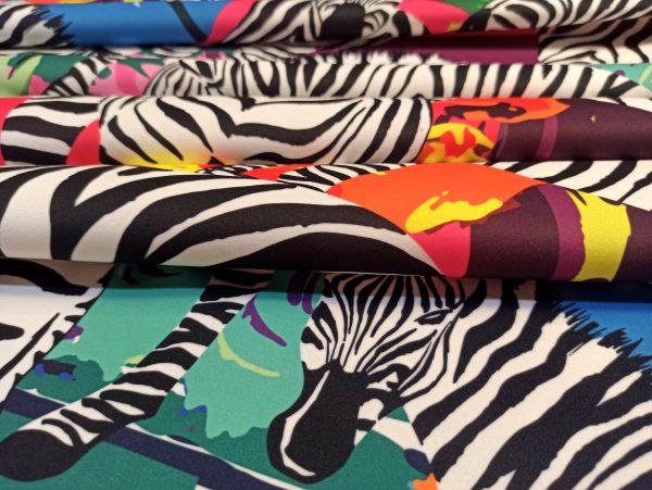 Zebra on Colours Sample - Image 10